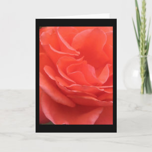 Tides of Peach Roos Flower Photo Wenskaart Kaart