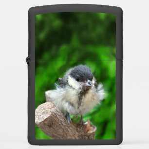 Tidi mijn vogel de Parus Major