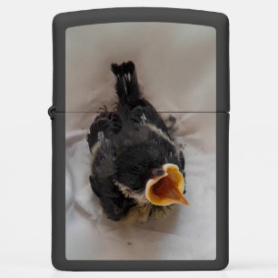 Tidi mijn vogel de Parus Major