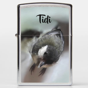 Tidi mijn vogel de Parus Major
