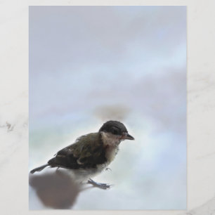 Tidi mijn vogel de Parus Major Briefhoofd
