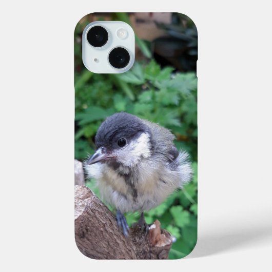 Tidi mijn vogel de Parus Major Case-Mate iPhone Case (Achterkant)