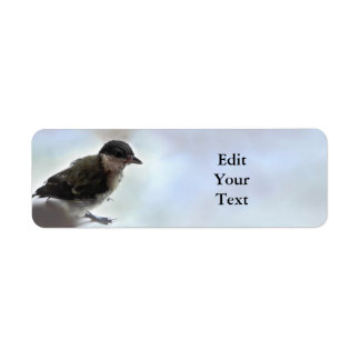 Tidi mijn vogel de Parus Major Etiket