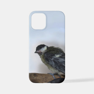 Tidi mijn vogel de Parus Major iPhone 12 Mini Hoesje