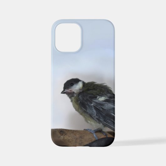 Tidi mijn vogel de Parus Major iPhone Hoesje (Achterkant)