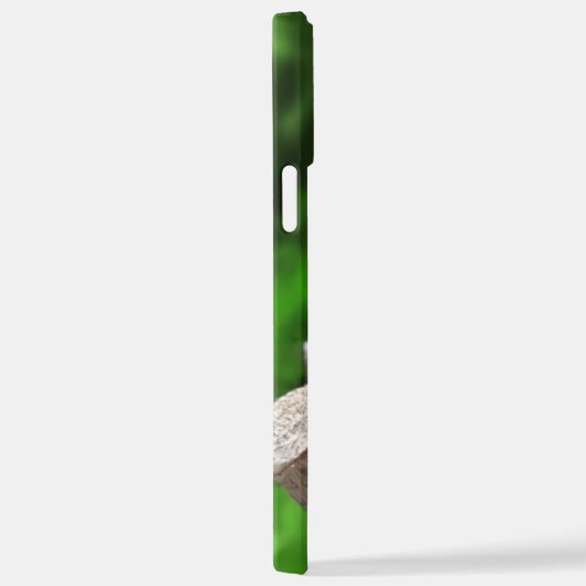 Tidi mijn vogel de Parus Major iPhone Hoesje (Rechterkant)