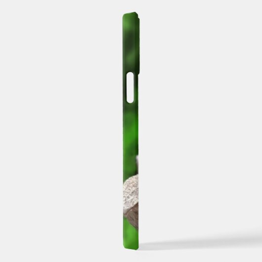 Tidi mijn vogel de Parus Major iPhone Hoesje (Rechterkant)