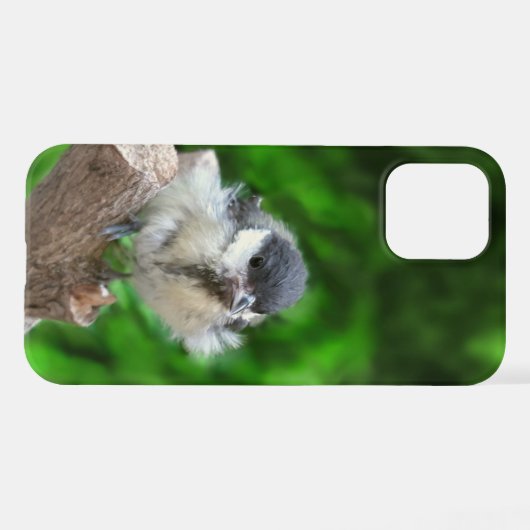 Tidi mijn vogel de Parus Major iPhone Hoesje (Achterkant horizontaal)