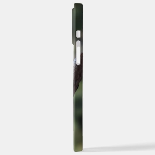 Tidi mijn vogel de Parus Major iPhone Hoesje (Linkerkant)