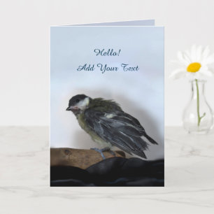 Tidi mijn vogel de Parus Major Kaart