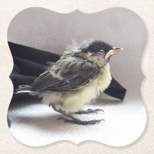 Tidi mijn vogel de Parus Major Kartonnen Onderzetters