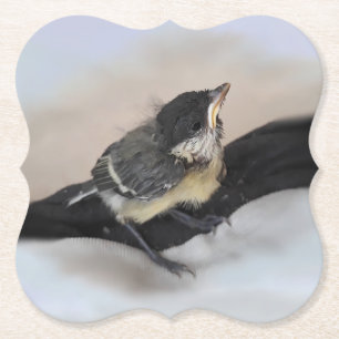 Tidi mijn vogel de Parus Major Kartonnen Onderzetters