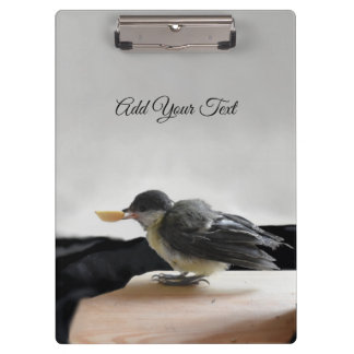 Tidi mijn vogel de Parus Major Klembord