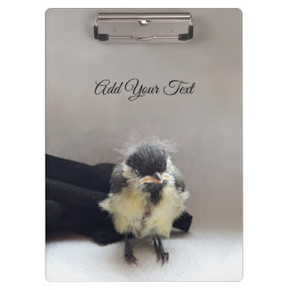 Tidi mijn vogel de Parus Major Klembord
