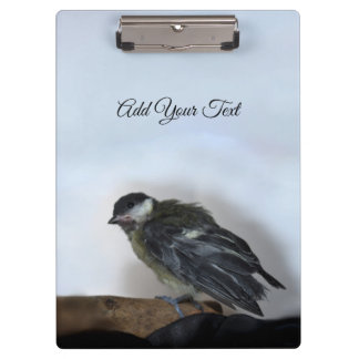 Tidi mijn vogel de Parus Major Klembord