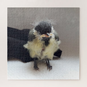 Tidi mijn vogel de Parus Major Legpuzzel