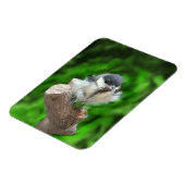 Tidi mijn vogel de Parus Major Magneet (Linkerzijde)