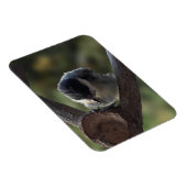 Tidi mijn vogel de Parus Major Magneet (Rechterzijde)