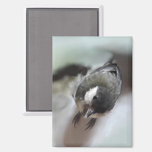 Tidi mijn vogel de Parus Major Magneet (Voorkant / Achterkant)