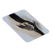 Tidi mijn vogel de Parus Major Magneet (Rechterzijde)
