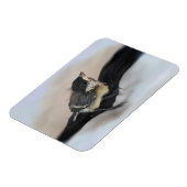 Tidi mijn vogel de Parus Major Magneet (Linkerzijde)