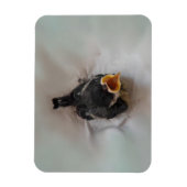 Tidi mijn vogel de Parus Major Magneet (Verticaal)