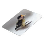Tidi mijn vogel de Parus Major Magneet (Linkerzijde)
