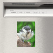 Tidi mijn vogel de Parus Major Magneet (Insitu (Vaatwasser))