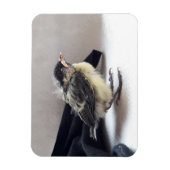 Tidi mijn vogel de Parus Major Magneet (Verticaal)