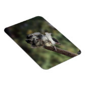 Tidi mijn vogel de Parus Major Magneet (Rechterzijde)