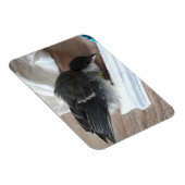 Tidi mijn vogel de Parus Major Magneet (Rechterzijde)