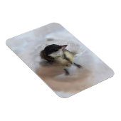 Tidi mijn vogel de Parus Major Magneet (Rechterzijde)