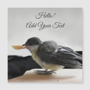 Tidi mijn vogel de Parus Major Magnetische kaart