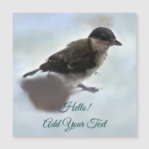 Tidi mijn vogel de Parus Major Magnetische kaart