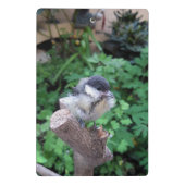 Tidi mijn vogel de Parus Major Mini Klembord (Achterkant)