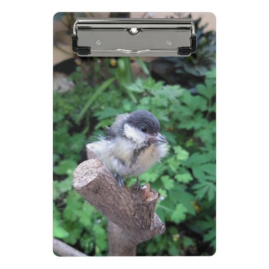 Tidi mijn vogel de Parus Major Mini Klembord (Voorkant)