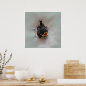 Tidi mijn vogel de Parus Major Poster (Keuken)