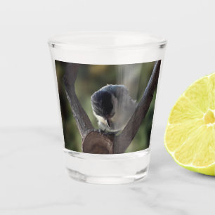 Tidi mijn vogel de Parus Major Shot Glas