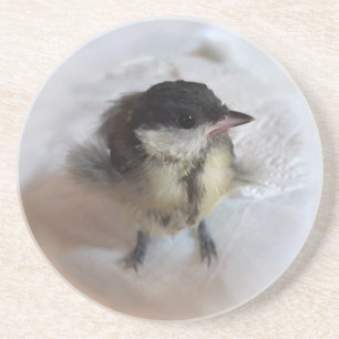 Tidi mijn vogel de Parus Major Zandsteen Onderzetter