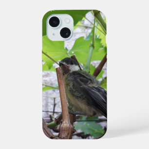 Tidi mijn vogel de Pimpelmees iPhone 15 Hoesje
