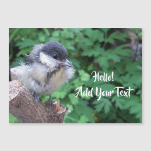 Tidi mon oiseau le Parus carte magnétique majeure