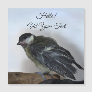 Tidi mon oiseau le Parus carte magnétique majeure