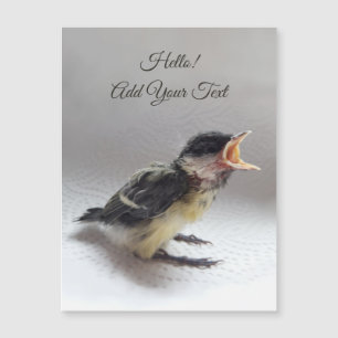 Tidi mon oiseau le Parus carte magnétique majeure