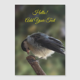 Tidi mon oiseau le Parus carte magnétique majeure