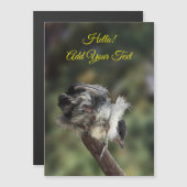 Tidi mon oiseau le Parus carte magnétique majeure (Devant / Derrière)