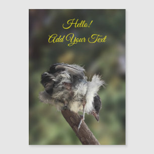 Tidi mon oiseau le Parus carte magnétique majeure