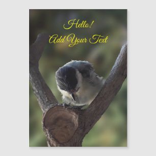 Tidi mon oiseau le Parus carte magnétique majeure