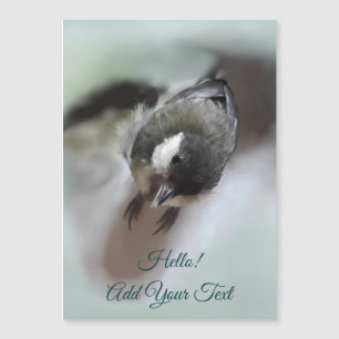 Tidi mon oiseau le Parus carte magnétique majeure