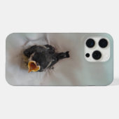 Tidi my Bird le Parus Major (Verso Horizontal)