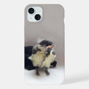 Tidi my Bird le Parus Major